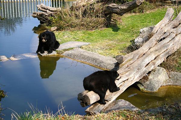 Members Random Picture Gallery Non Mustang Shots of Interest!-img_0075.jpg