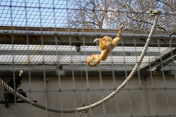 Members Random Picture Gallery Non Mustang Shots of Interest!-img_0121.jpg