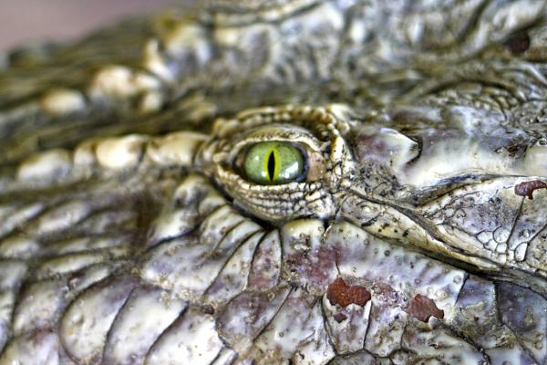 Members Random Picture Gallery Non Mustang Shots of Interest!-img_0186.jpg