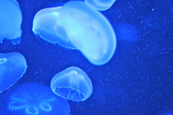 Members Random Picture Gallery Non Mustang Shots of Interest!-img_0167.jpg