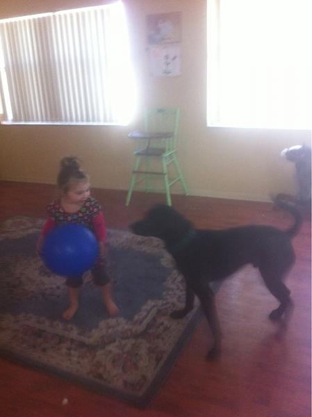 The TMS Dog Thread!-image-2810480532.jpg