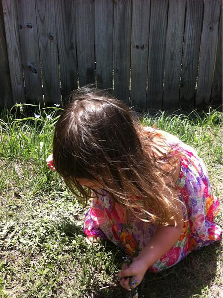 Members Random Picture Gallery Non Mustang Shots of Interest!-image-2523414444.jpg