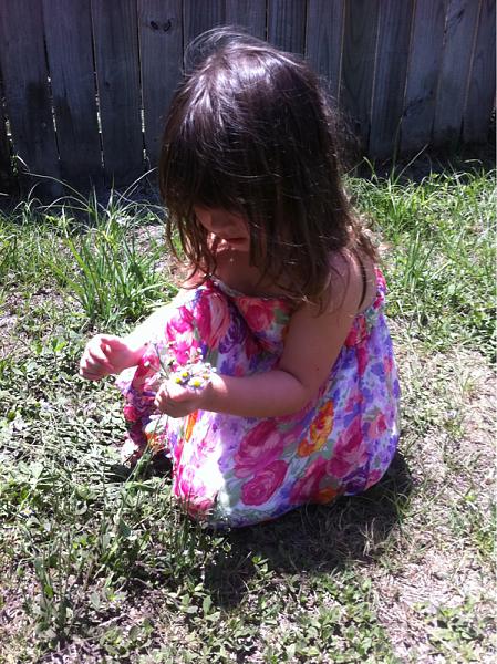 Members Random Picture Gallery Non Mustang Shots of Interest!-image-950360199.jpg