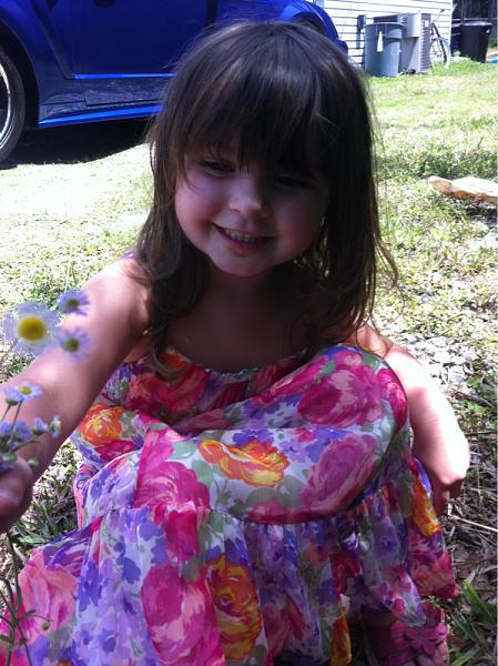 Members Random Picture Gallery Non Mustang Shots of Interest!-image-1968510241.jpg