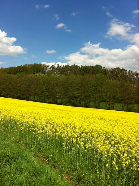 Members Random Picture Gallery Non Mustang Shots of Interest!-image-4050174245.jpg