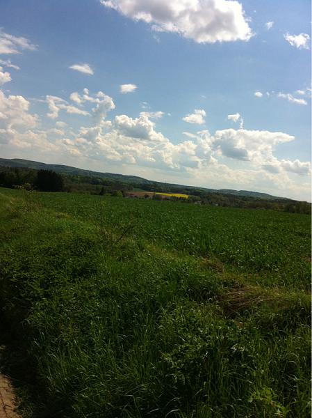 Members Random Picture Gallery Non Mustang Shots of Interest!-image-2206056824.jpg