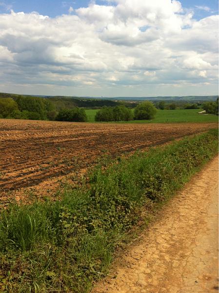 Members Random Picture Gallery Non Mustang Shots of Interest!-image-66501732.jpg