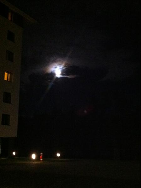 Members Random Picture Gallery Non Mustang Shots of Interest!-image-2563274042.jpg