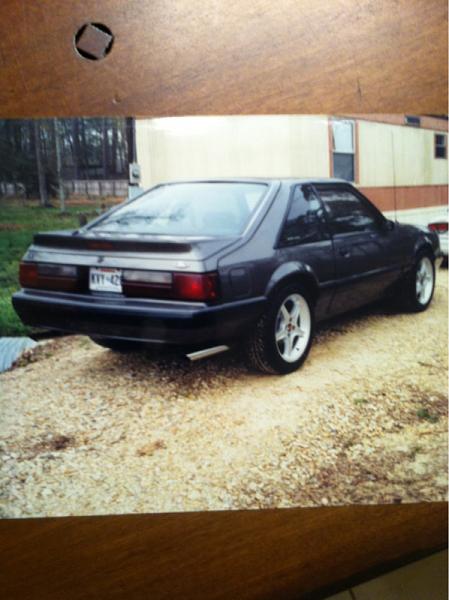 Picks of your first mustang!!!!!-image-1244516388.jpg