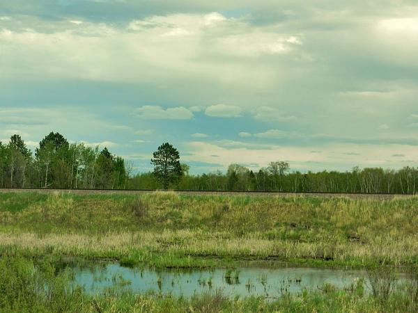 Members Random Picture Gallery Non Mustang Shots of Interest!-553505_437551252939889_100000550531626_1542292_1683521613_n.jpg