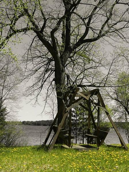 Members Random Picture Gallery Non Mustang Shots of Interest!-537740_437552779606403_100000550531626_1542356_1828344482_n.jpg