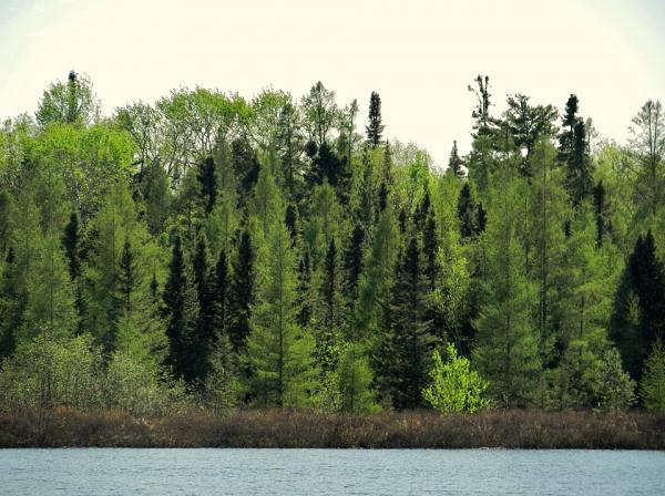 Members Random Picture Gallery Non Mustang Shots of Interest!-546316_437558589605822_100000550531626_1542593_1375562649_n.jpg