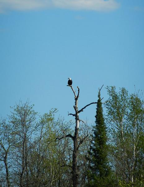 Members Random Picture Gallery Non Mustang Shots of Interest!-540279_437559342939080_100000550531626_1542623_1473722845_n.jpg