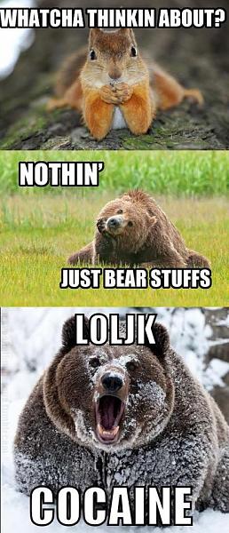 Huge Strange RANDOM Pictures and Idiocy Gallery!-bear_stuffs.jpg