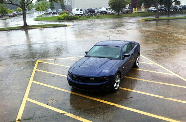 Members Random Picture Gallery Non Mustang Shots of Interest!-img_1601-copy.jpg