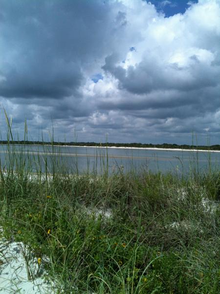 Members Random Picture Gallery Non Mustang Shots of Interest!-image-2633110812.jpg