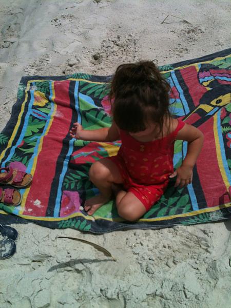 Members Random Picture Gallery Non Mustang Shots of Interest!-image-2726426484.jpg