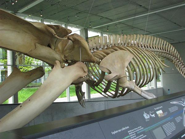 Members Random Picture Gallery Non Mustang Shots of Interest!-dcp-3834.jpg