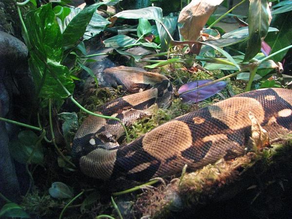 Members Random Picture Gallery Non Mustang Shots of Interest!-dcp-3842.jpg