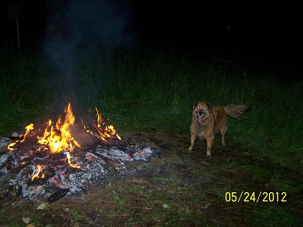 Members Random Picture Gallery Non Mustang Shots of Interest!-kelly-fire.1.jpg