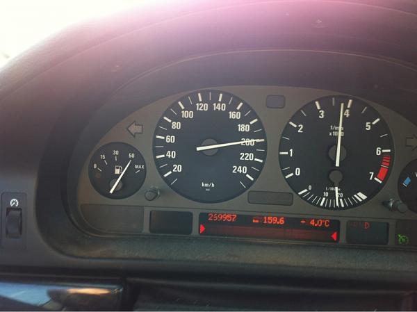 Huge Strange RANDOM Pictures and Idiocy Gallery!*-image-1688943133.jpg