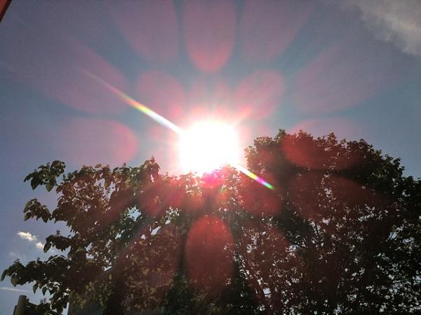 Members Random Picture Gallery Non Mustang Shots of Interest!-img_0976.jpg