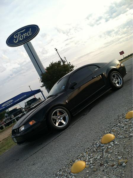 Members Random Picture Gallery Non Mustang Shots of Interest!-image-1079891351.jpg