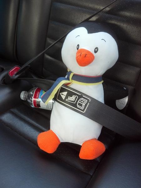 Huge Strange RANDOM Pictures and Idiocy Gallery!*-penguin.jpg