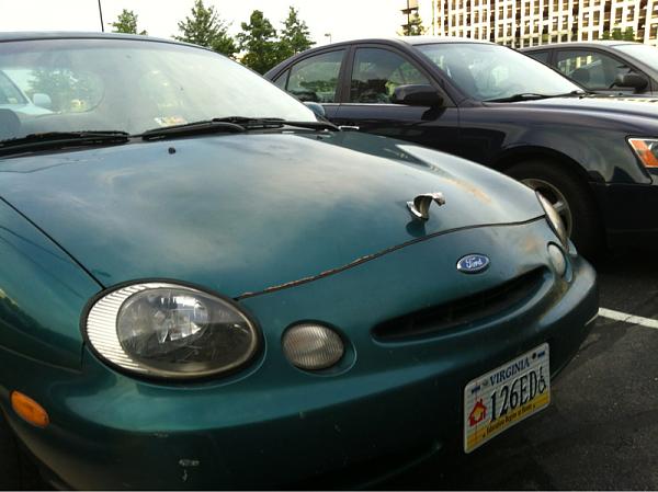 Huge Strange RANDOM Pictures and Idiocy Gallery!*-image-1283834863.jpg