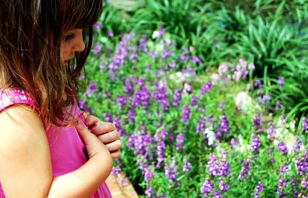 Members Random Picture Gallery Non Mustang Shots of Interest!-image-3886410506.jpg