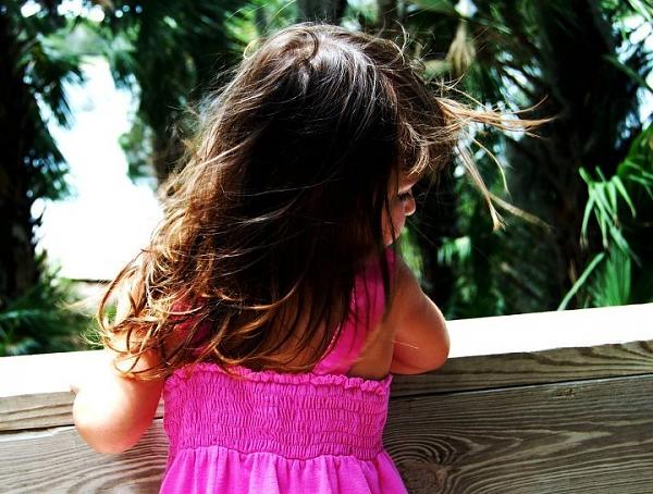 Members Random Picture Gallery Non Mustang Shots of Interest!-image-1968981652.jpg