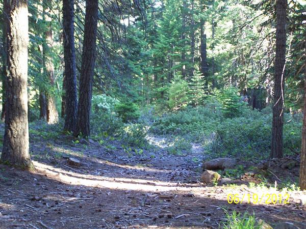 Members Random Picture Gallery Non Mustang Shots of Interest!-wagon-rd3.jpg