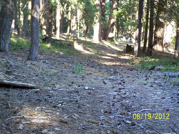 Members Random Picture Gallery Non Mustang Shots of Interest!-wagon-rd6.jpg