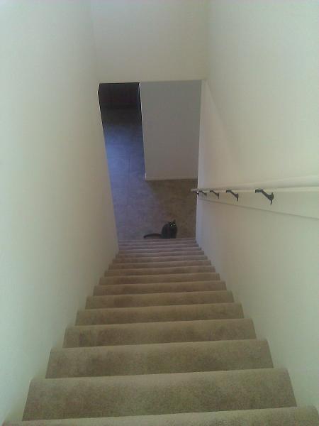 Members Random Picture Gallery Non Mustang Shots of Interest!-wp_002467.jpg