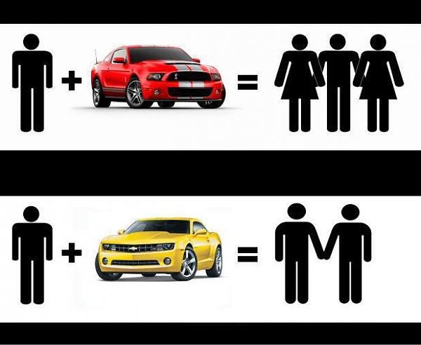 Huge Strange RANDOM Pictures and Idiocy Gallery!*-image-2595062539.jpg