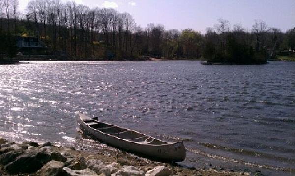 Members Random Picture Gallery Non Mustang Shots of Interest!-tms1.jpg