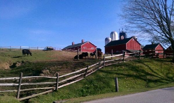 Members Random Picture Gallery Non Mustang Shots of Interest!-tms3.jpg