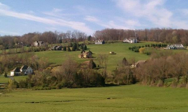 Members Random Picture Gallery Non Mustang Shots of Interest!-tms4.jpg