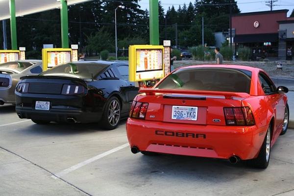 Members Random Picture Gallery Non Mustang Shots of Interest!-image-1673160957.jpg