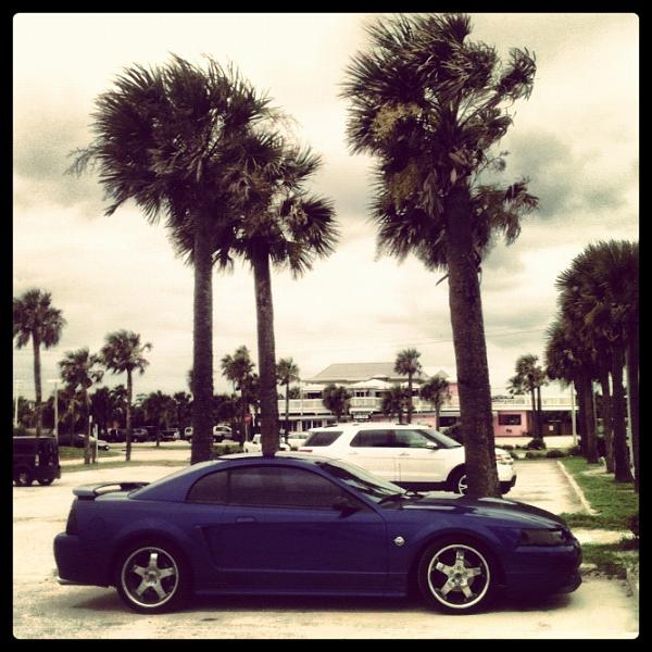 Members Random Picture Gallery Non Mustang Shots of Interest!-image-2789128877.jpg