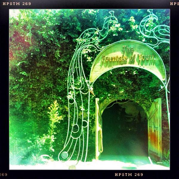 Members Random Picture Gallery Non Mustang Shots of Interest!-image-1610778568.jpg