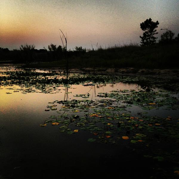 Members Random Picture Gallery Non Mustang Shots of Interest!-image-3932248328.jpg