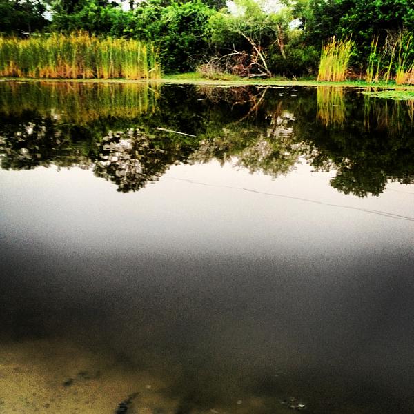 Members Random Picture Gallery Non Mustang Shots of Interest!-image-883581801.jpg