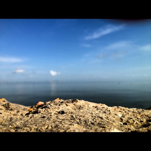 Members Random Picture Gallery Non Mustang Shots of Interest!-image-1201590311.jpg