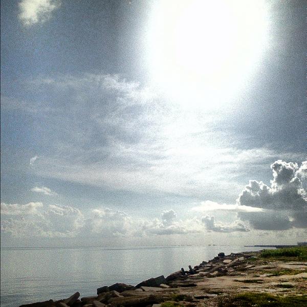 Members Random Picture Gallery Non Mustang Shots of Interest!-image-3950463717.jpg