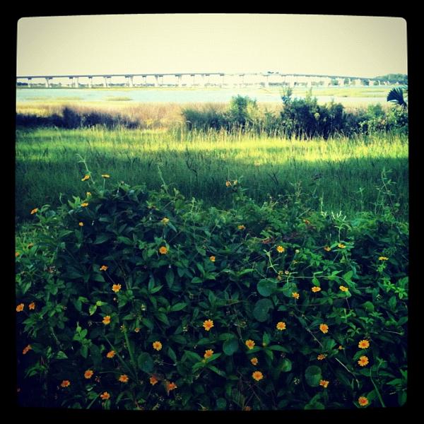 Members Random Picture Gallery Non Mustang Shots of Interest!-image-809960187.jpg