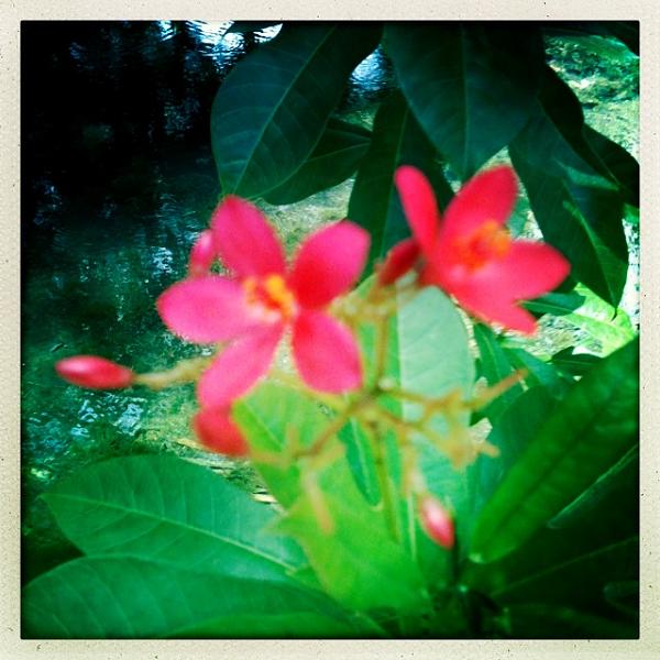 Members Random Picture Gallery Non Mustang Shots of Interest!-image-1716225196.jpg