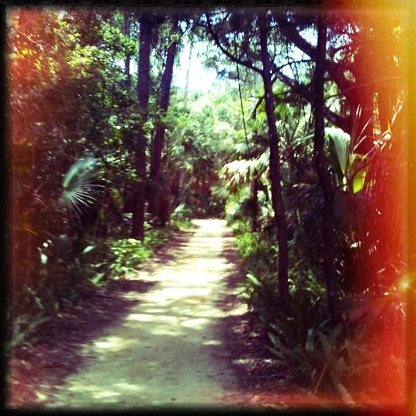 Members Random Picture Gallery Non Mustang Shots of Interest!-image-1008673021.jpg