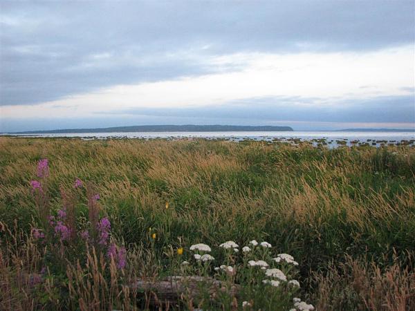 Members Random Picture Gallery Non Mustang Shots of Interest!-dcp-3917.jpg