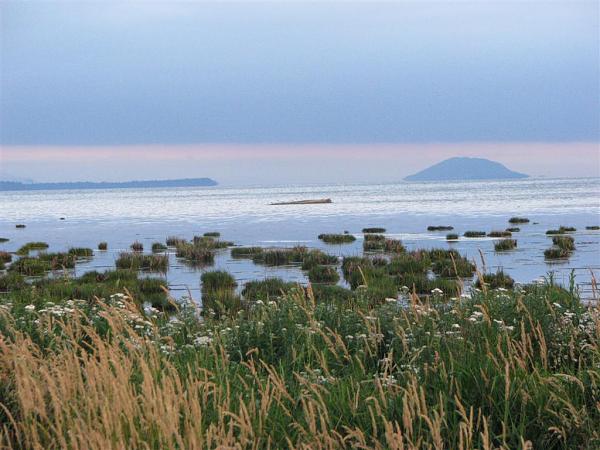 Members Random Picture Gallery Non Mustang Shots of Interest!-dcp-3918.jpg